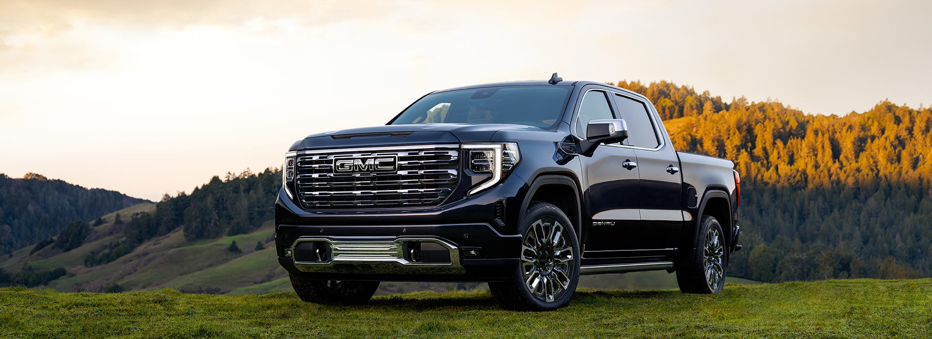 Courtesy GMC in BIRMINGHAM AL